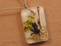 Gardens Under Glass
